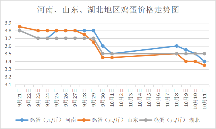 西平雞蛋價(jià)格實(shí)時(shí)更新與最新動(dòng)態(tài)
