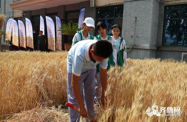 濟南玉米價格最新動態(tài)更新