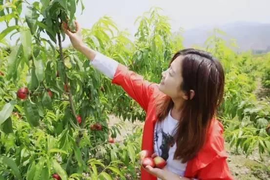 仁壽龍馬規(guī)劃最新動(dòng)態(tài)揭秘