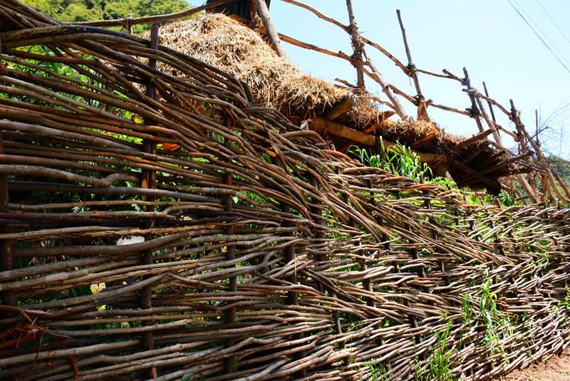 禮縣貼吧最新相關(guān)照片，科技潮流前沿與生活變革的體驗引領(lǐng)