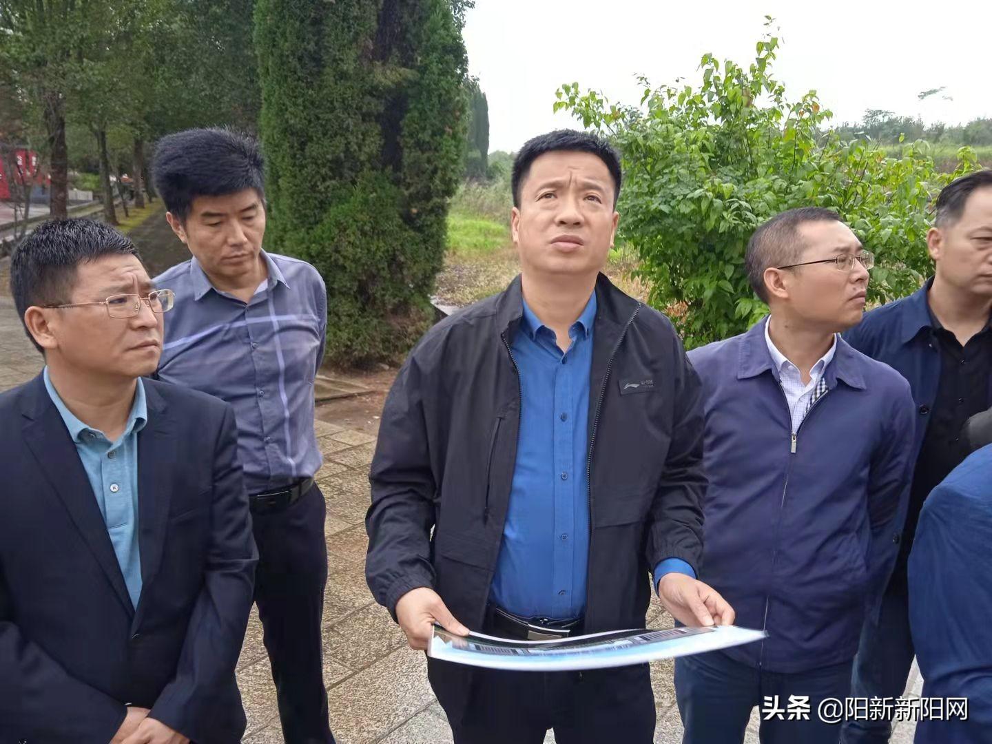 湖北陽新龍港最新事件及步驟指南