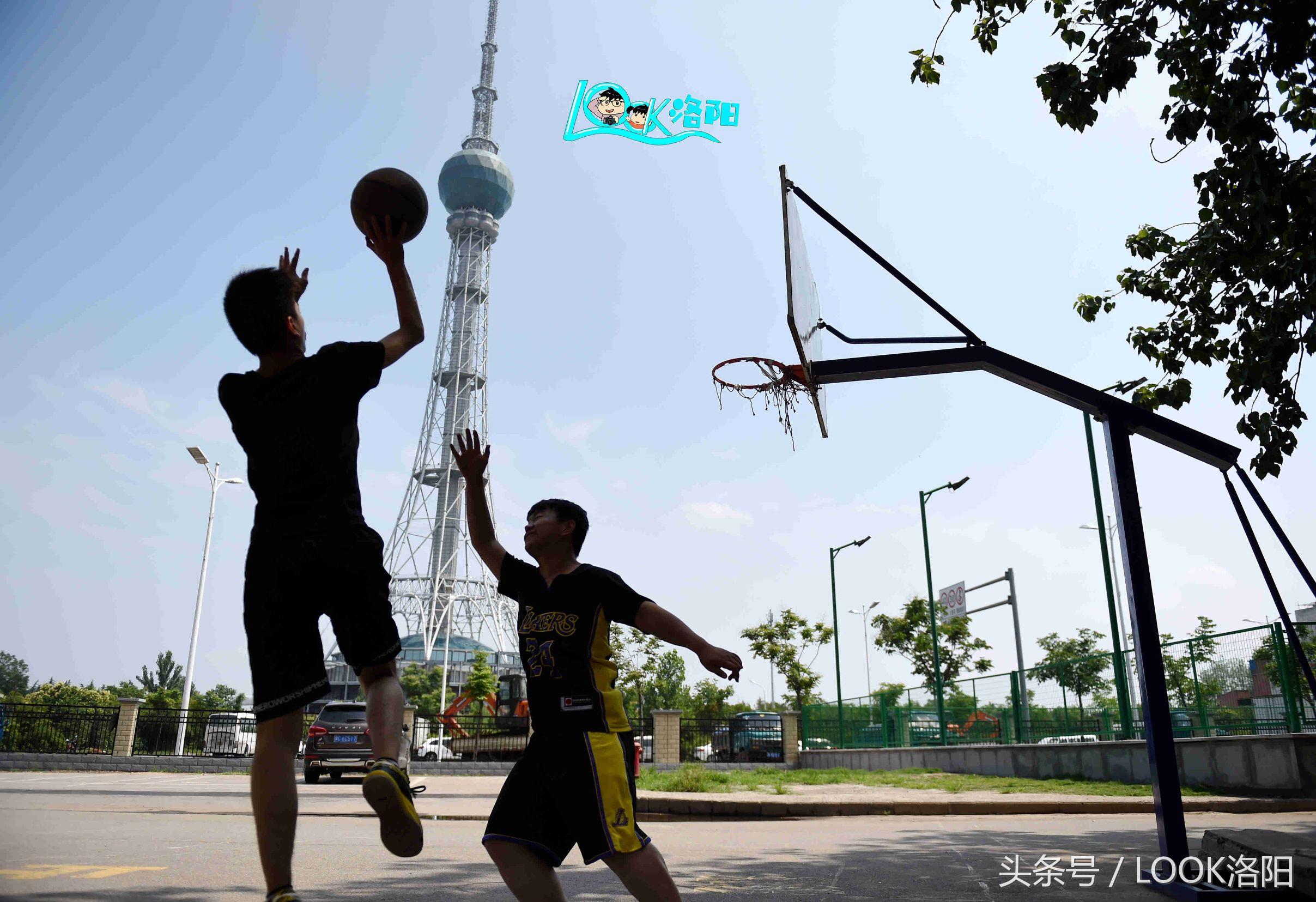 洛陽寶龍廣場最新房價揭秘，小巷風(fēng)情與驚喜房價探索