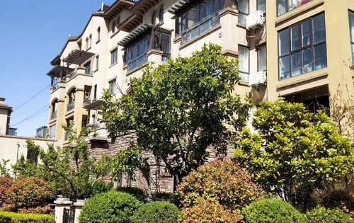 清華大溪地最新房價(jià)揭秘，小巷深處的驚喜探索