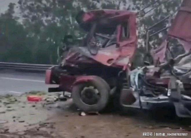 河源高速車禍最新消息，美味奇緣背后的驚險(xiǎn)故事