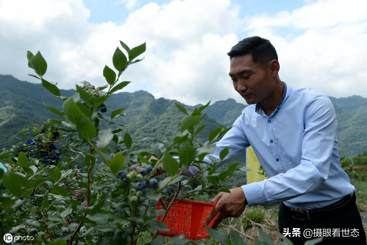 部隊農(nóng)場改革最新政策詳解，步驟指南與改革措施梳理