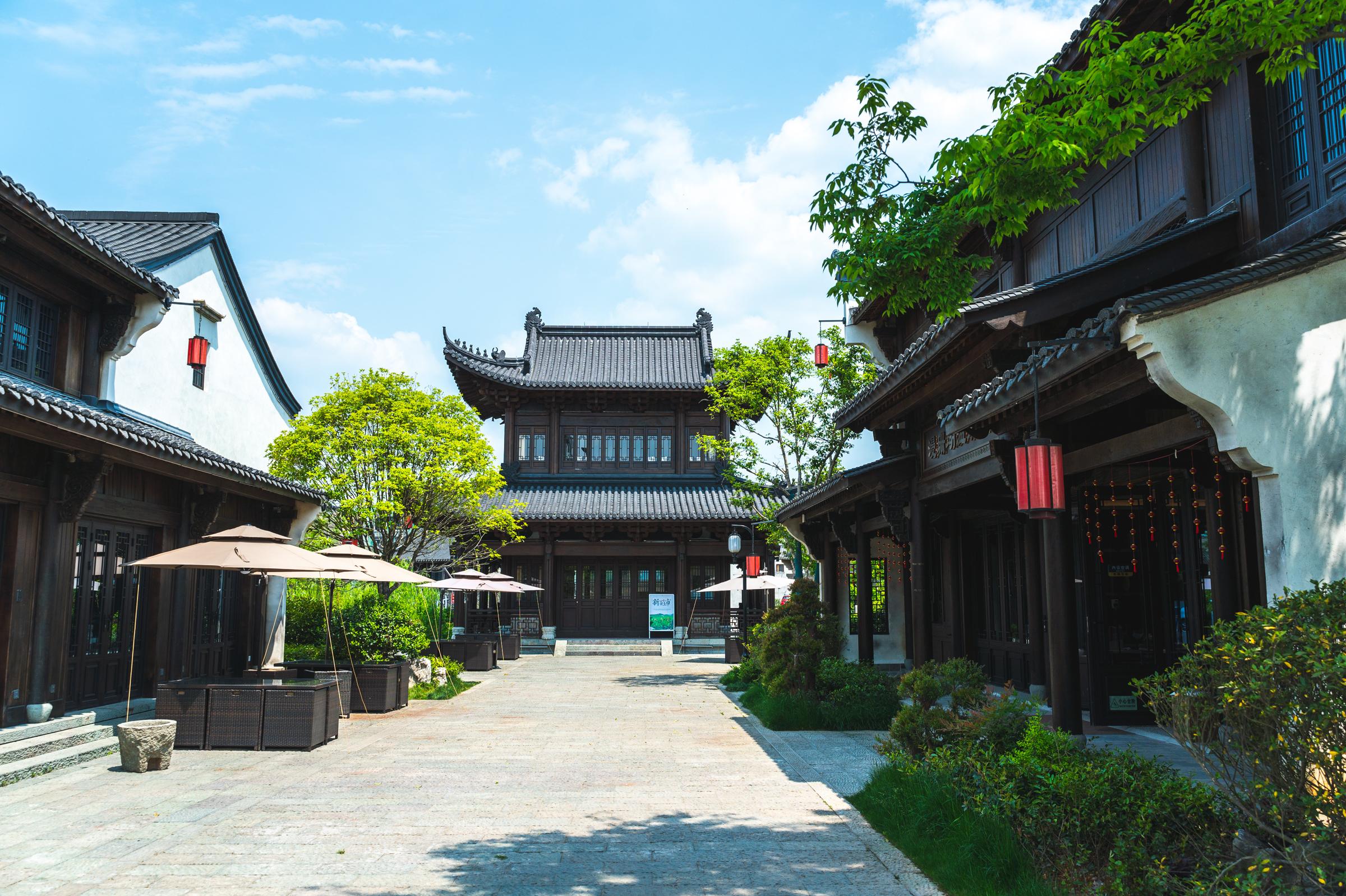 浙江建德梅城最新動態(tài)，梅香四溢的溫情日常