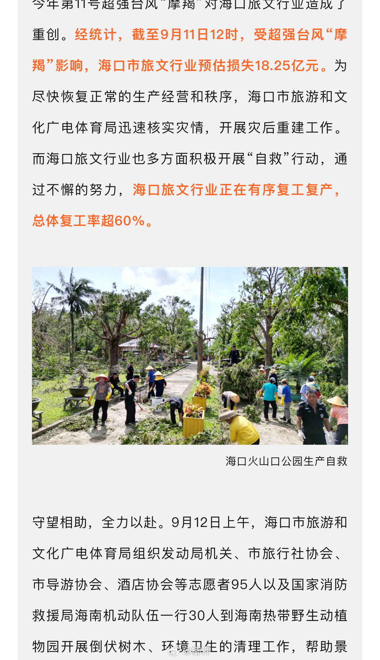 海南?？谧钚聞討B(tài)更新