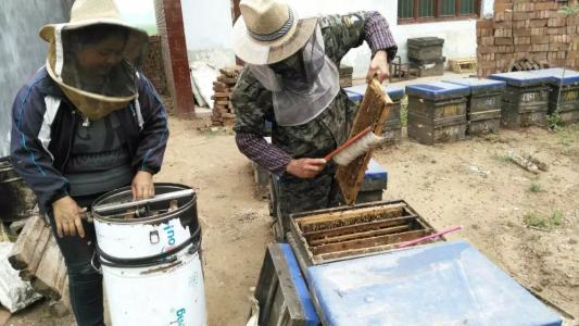 蜂蜜收購(gòu)商最新動(dòng)態(tài)及觀點(diǎn)論述摘要