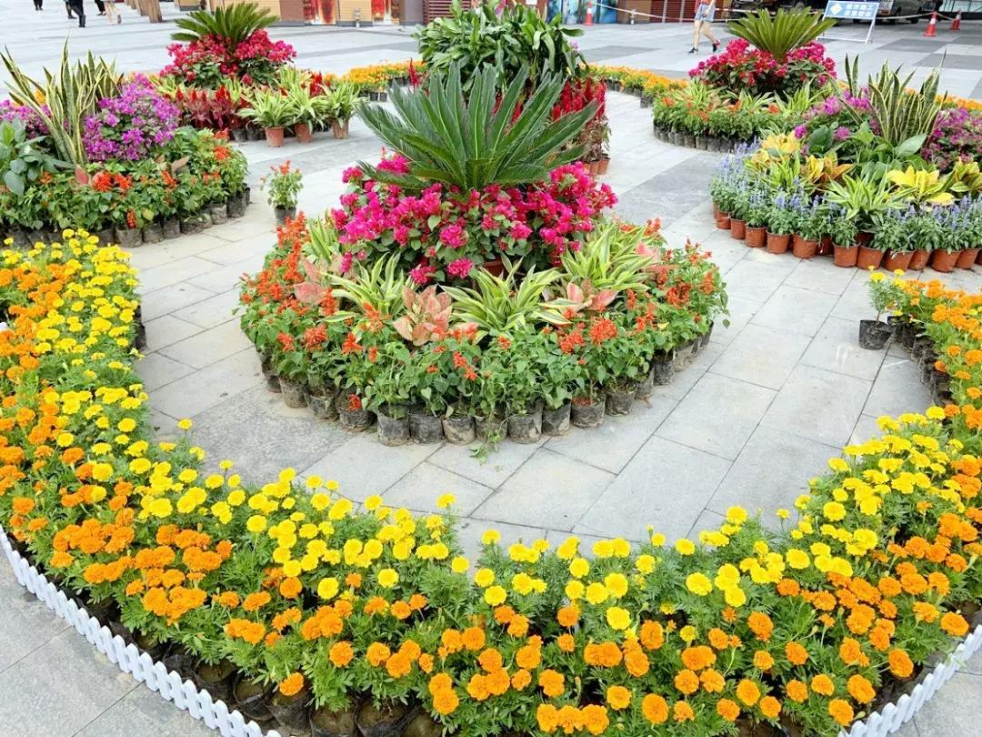 中昂錦繡最新樓盤報價，科技生活重塑，未來觸手可及