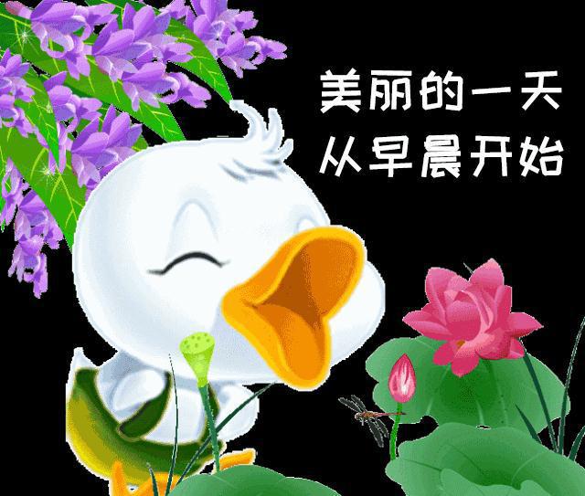 最新微信動(dòng)態(tài)圖片時(shí)尚潮流合集，掌握最新動(dòng)態(tài)，盡在指尖之間