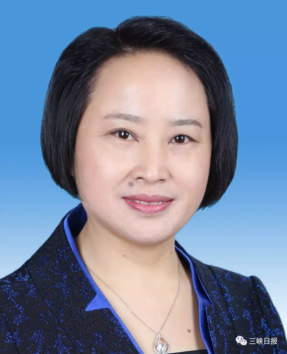 宜昌市最新副市長分工詳解，各副市長職責(zé)介紹