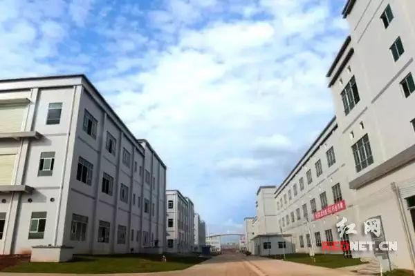 瀏陽藍思科技最新招聘信息發(fā)布