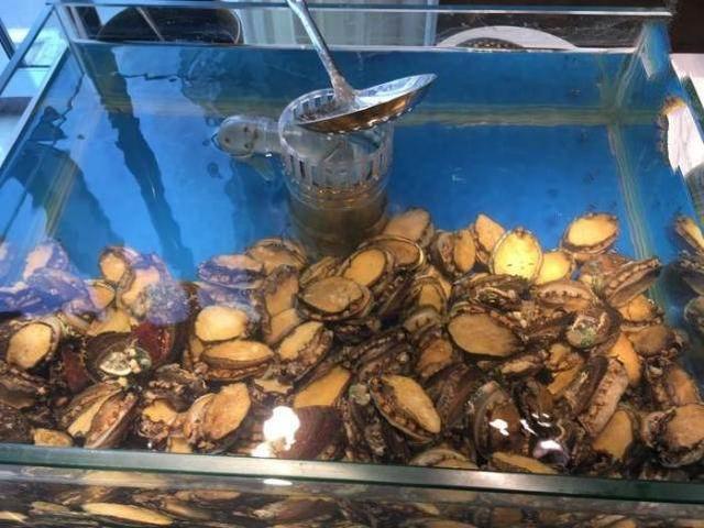 最新鮮生蠔保存方法指南